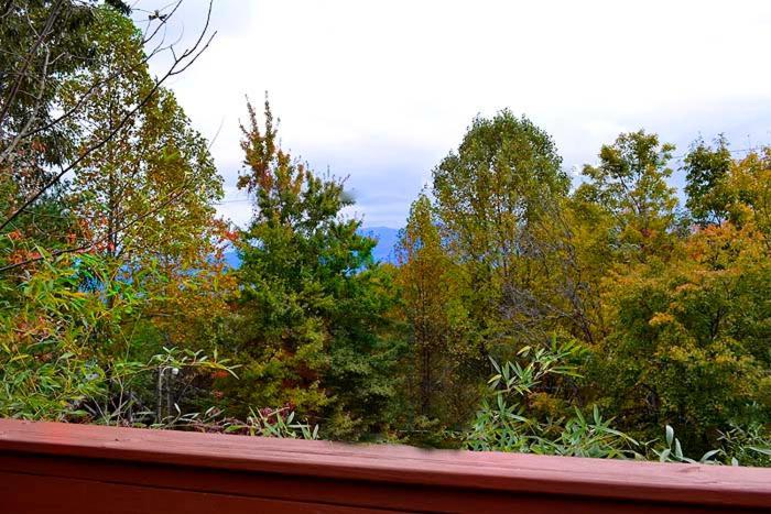 Lover'S Loft Gatlinburg Exterior foto